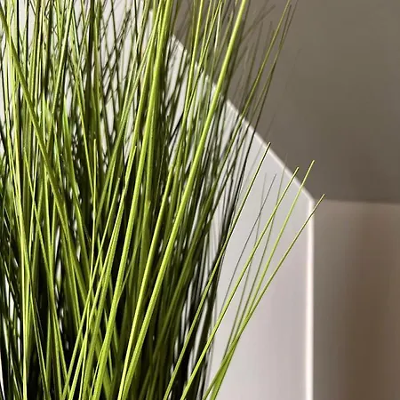 H-85 Level 5/10 * Coblenza