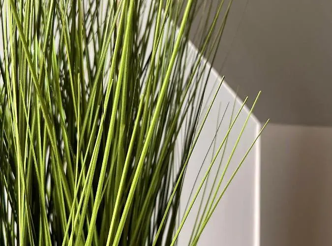 H-85 Level 5/10 * كوبلنس